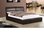Faux leather bed in double or king, black, brown