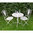 Cream Bistro metal garden table and chairs set